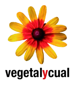 Logo VegetalYCual